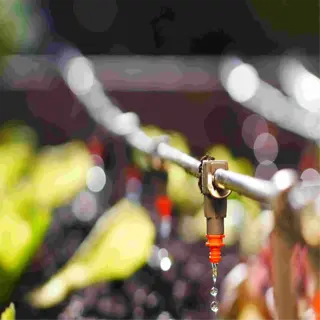 drip irrigation system watering a row of plants in a garden bed