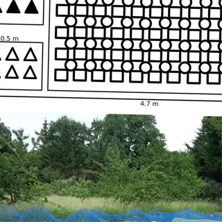 garden layout with netting - decoy garden setup